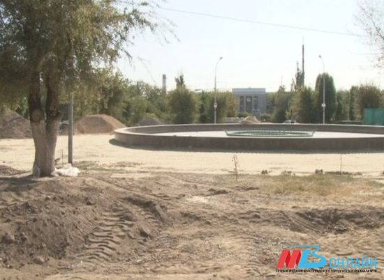 В Волгограде «Центр народной дипломатии» украсят более 500 деревьев и кустарников